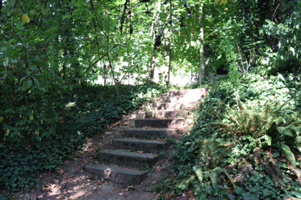 Steep wooden steps with gravel lead to Capitol Hill Road